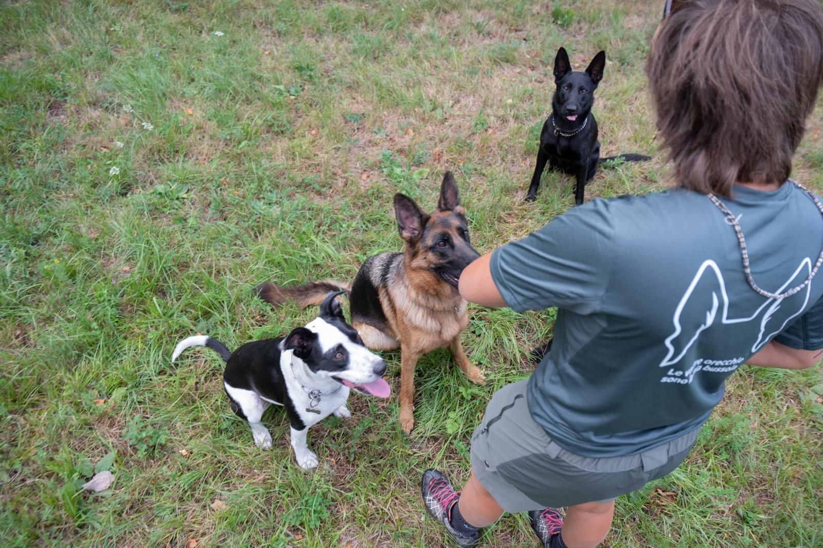 Anna in piedi davanti a tre cani seduti che la guardano