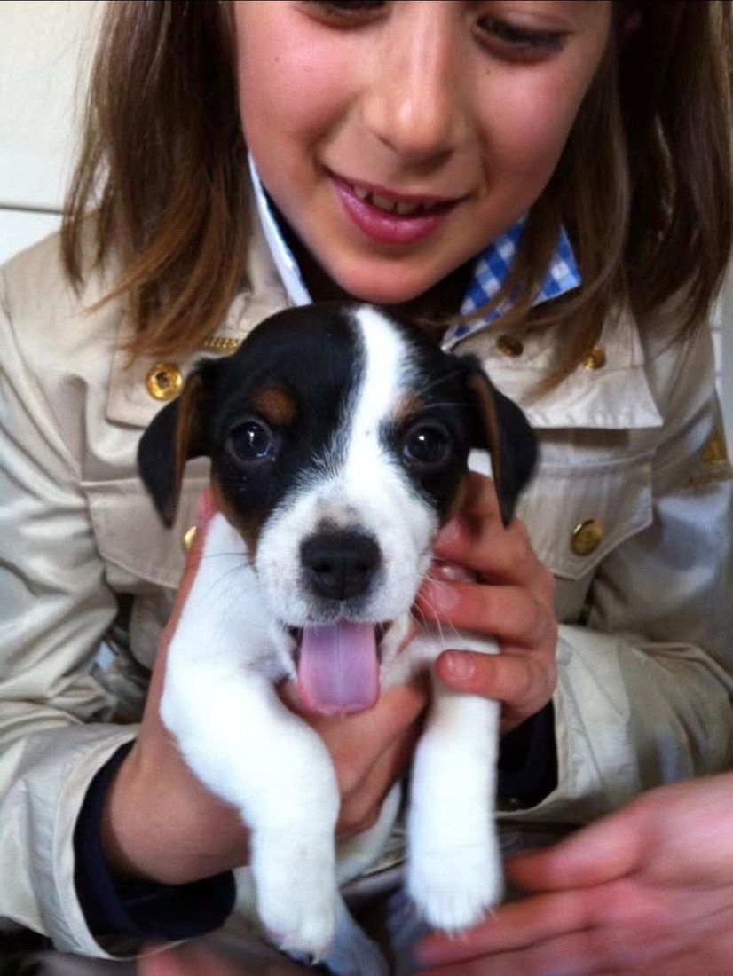 Anna bambina con Pablo, un cucciolo di Jack Russell