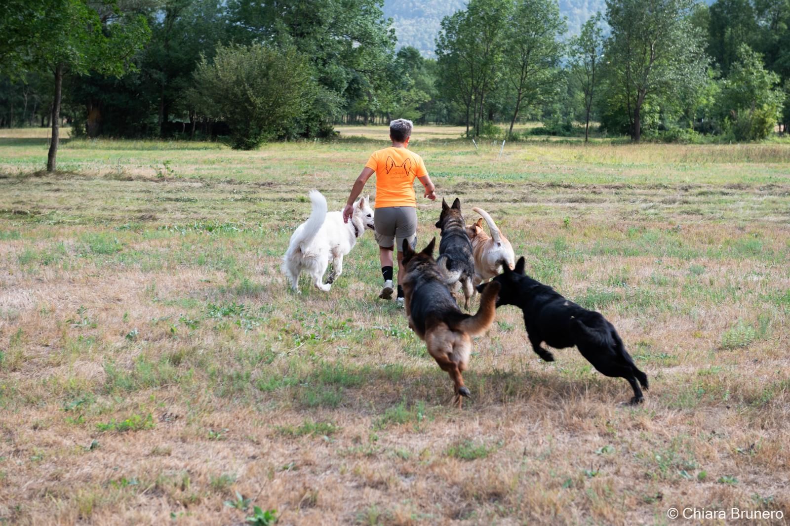 Anna che corre in un prato insieme a un gruppo di cani