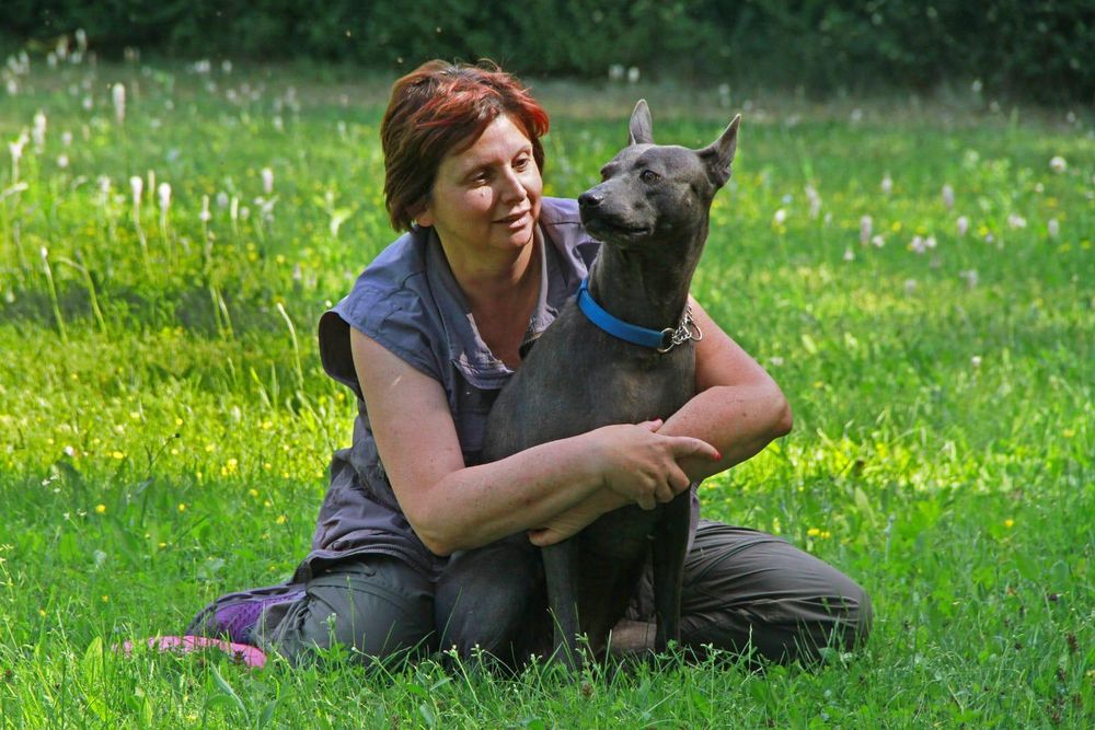 Barbara Striano abbraccia un Thai Ridgeback grigio