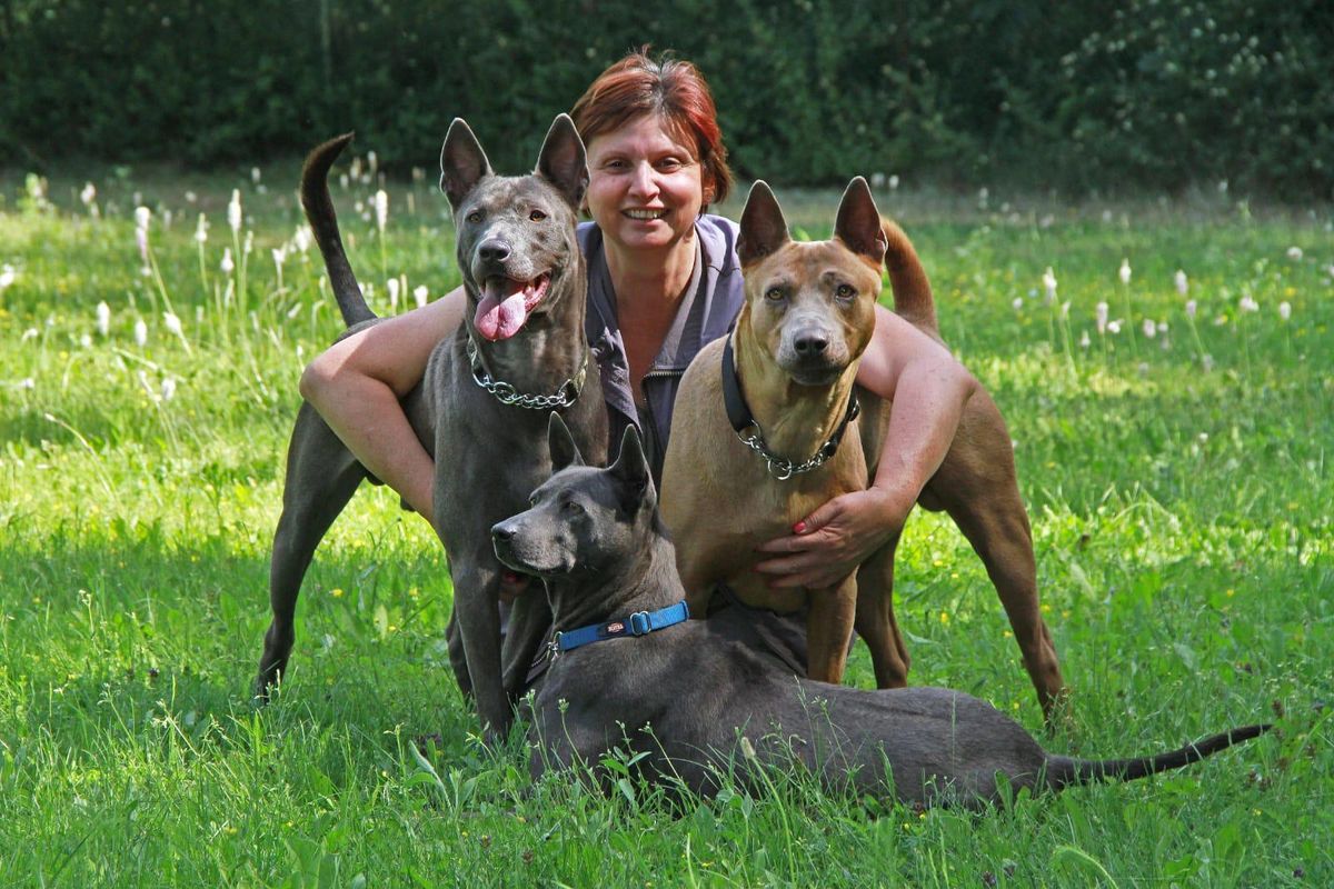 Barbara Striano con tre Thai Ridgeback sull’erba